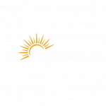 White pearl Digital logo featuring a stylized sunburst graphic above the brand name on a black background.